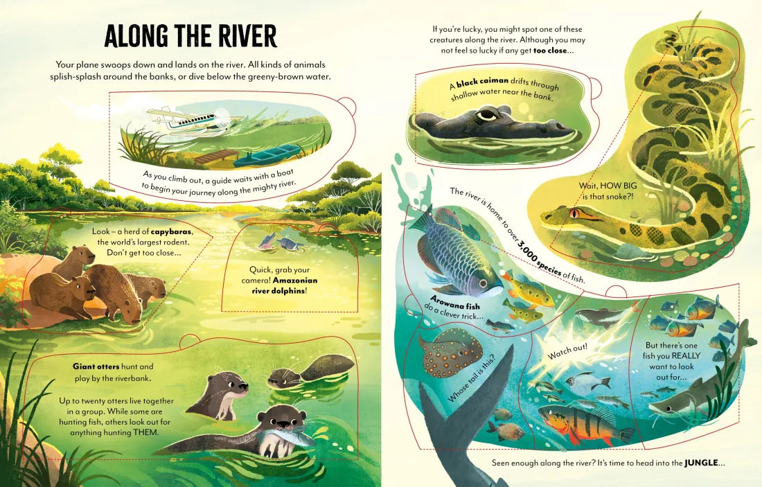 Extreme Planet: Journey through the Amazon GB - Board book