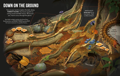 Extreme Planet: Journey through the Amazon GB - Board book