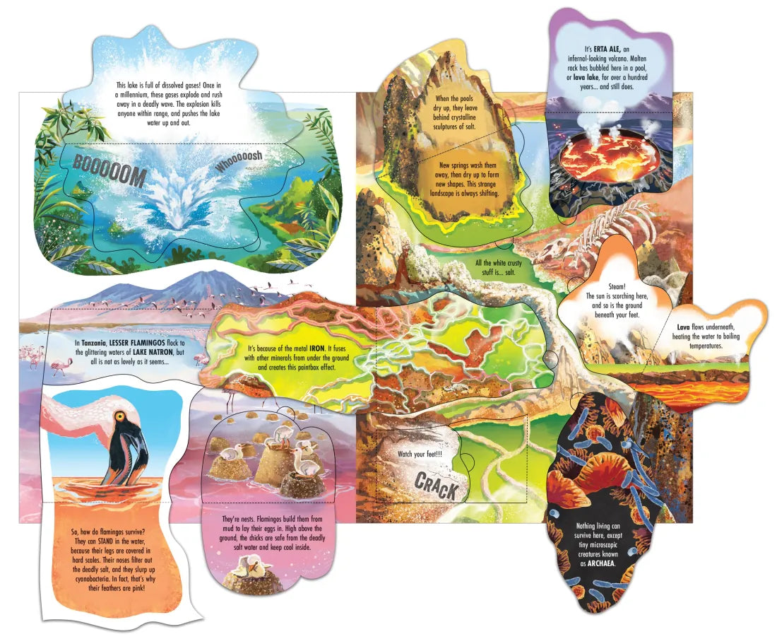 See Inside Wild Places GB - Board book