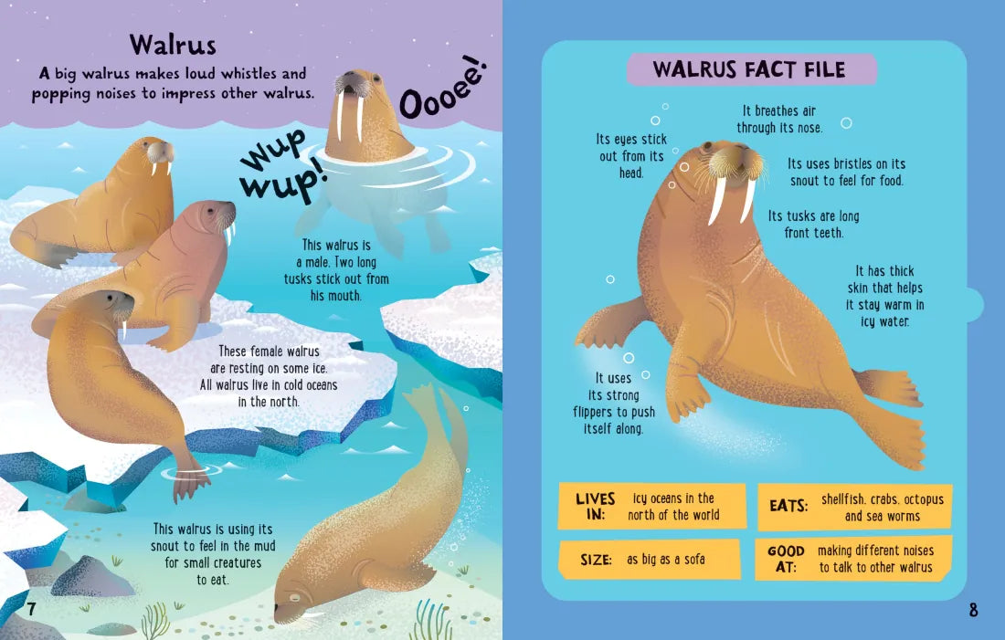 Slot-together Sea Creatures Book GB - Board book