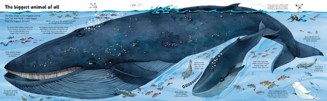 Big Book of Big Animals GB - Hardback