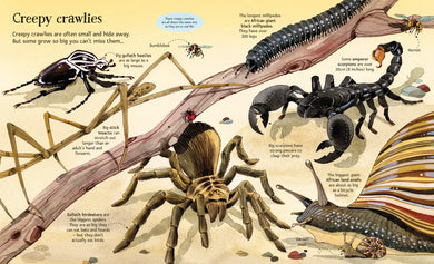 Big Book of Big Animals GB - Hardback