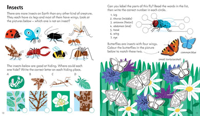Activity Book Nature GB - Paperback / softback