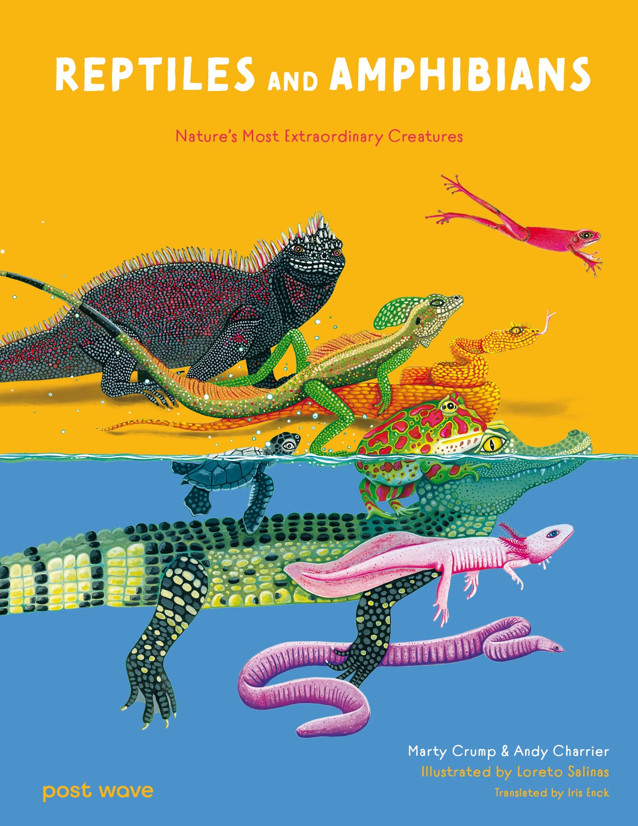 Reptiles and Amphibians-Children’s / Teenage general interest: Nature and animals-買書書 BuyBookBook