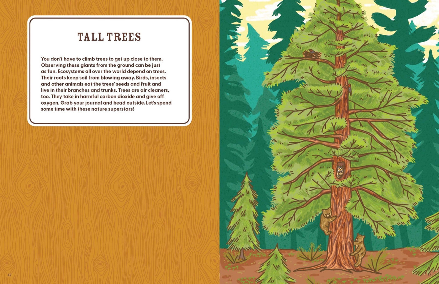 Lonely Planet Kids Explorer's Nature Journal inside page 8