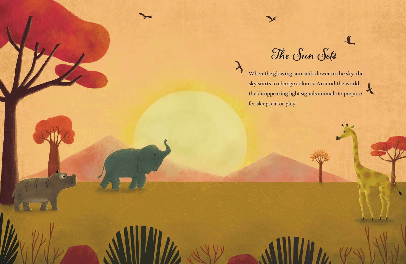 Lonely Planet Kids Good Night, Earth inside page 3