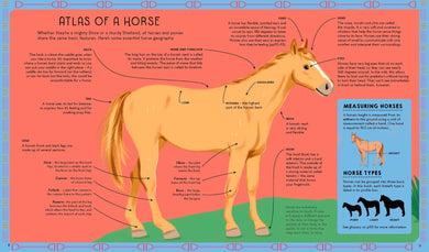Lonely Planet Kids Atlas of Horses and Ponies inside page 3