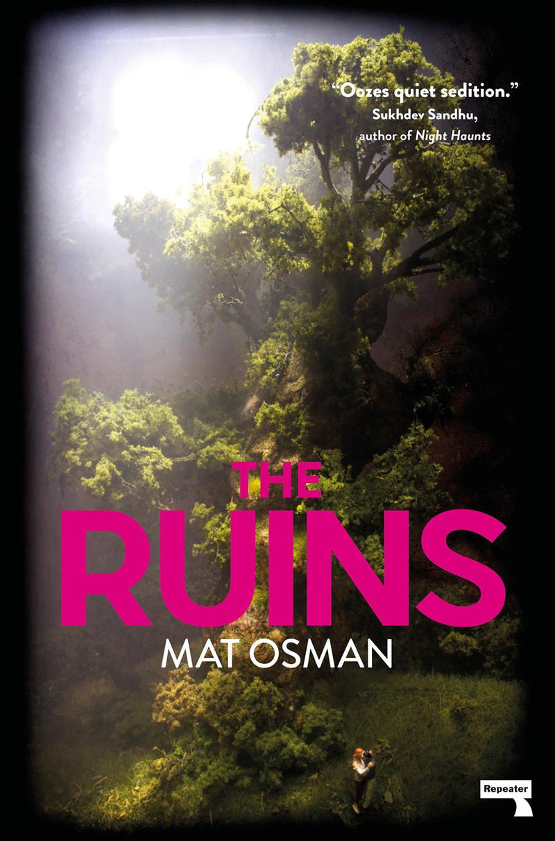 The Ruins-Fiction: Crime and mystery-買書書 BuyBookBook