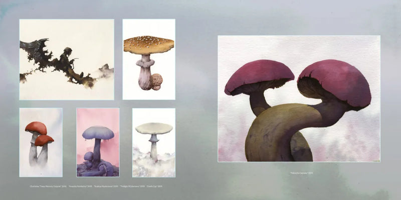 Vision of the Hawk US - Paperback / softback