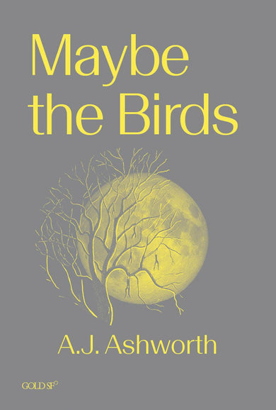 Maybe the Birds-Fiction: Science fiction-買書書 BuyBookBook