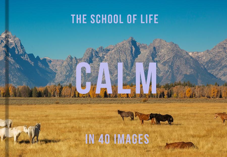 Calm in 40 Images-Self-help/ personal development/ practical advice-買書書 BuyBookBook
