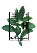 The Haiku Year-Poetry-買書書 BuyBookBook