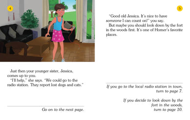 Lost Dog! US - Paperback / softback