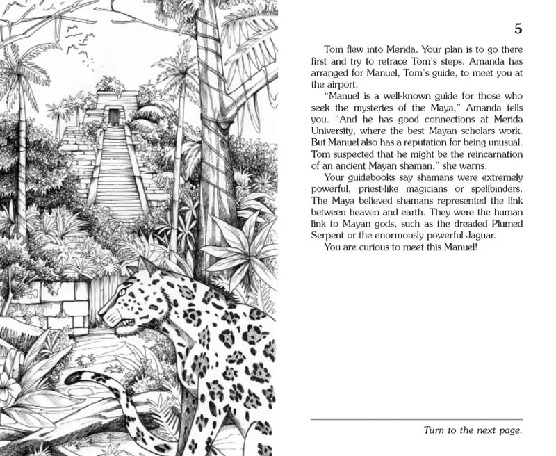 Mystery of the Maya US - Paperback / softback