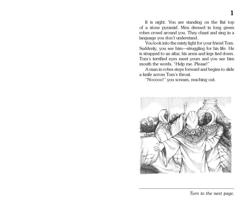 Mystery of the Maya US - Paperback / softback