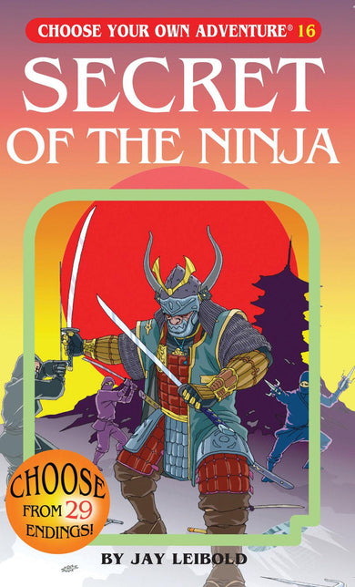 Secret Of The Ninja-Children’s / Teenage fiction: Sporting stories-買書書 BuyBookBook
