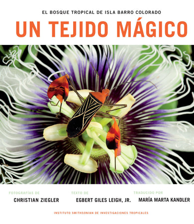 Un Tejido Magico cover (ISBN 9781935623946)
