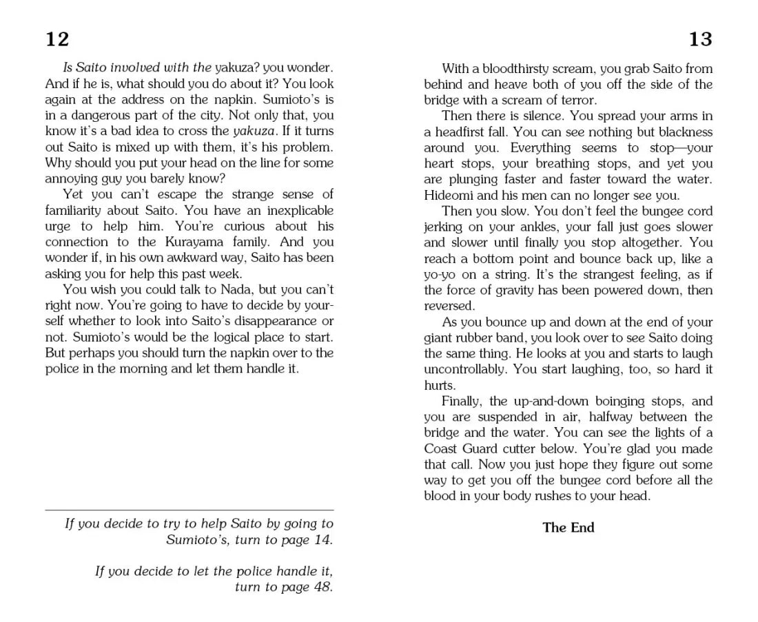 The Lost Ninja US - Paperback / softback