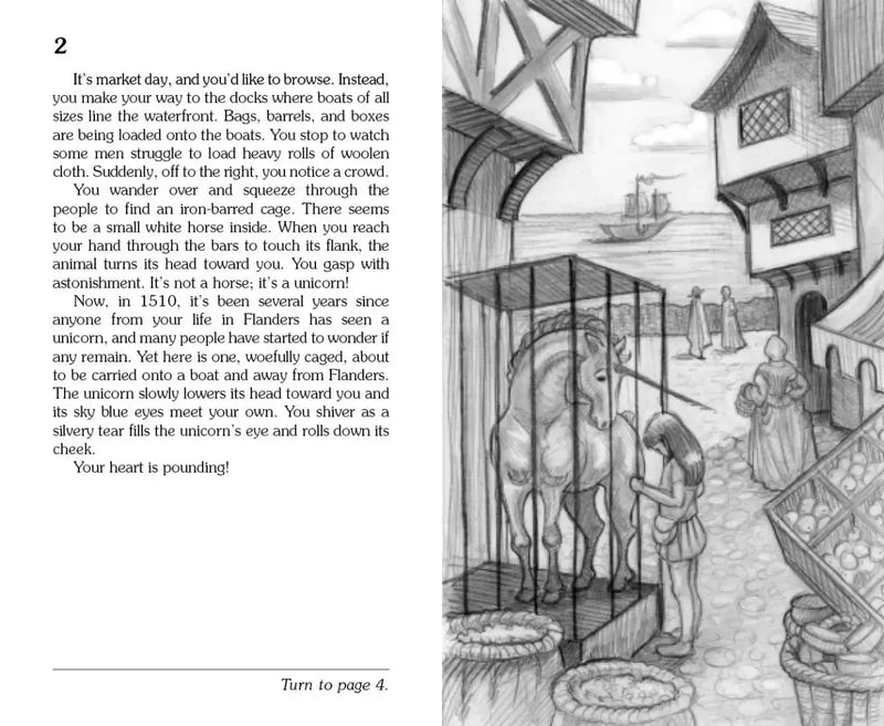 The Rescue of the Unicorn US - Paperback / softback