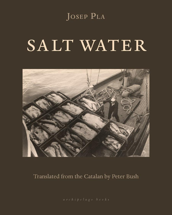 Salt Water-True stories and non-fiction prose-買書書 BuyBookBook