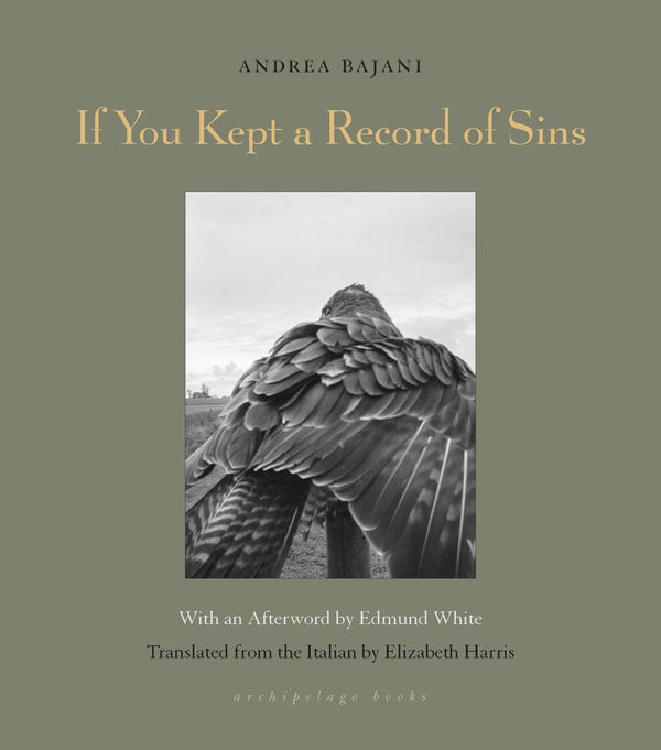 If You Kept a Record of Sins-Fiction: general and literary-買書書 BuyBookBook