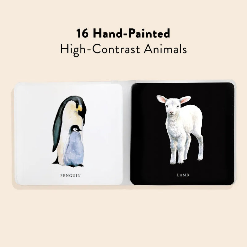 Baby's Black and White Contrast Book US - Board book
