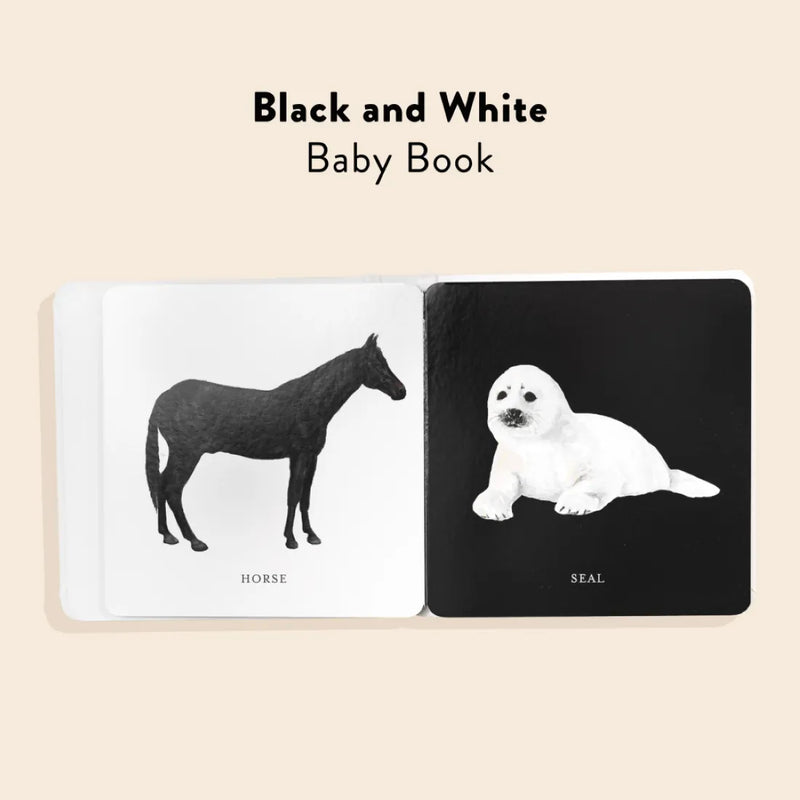 Baby's Black and White Contrast Book US - Board book