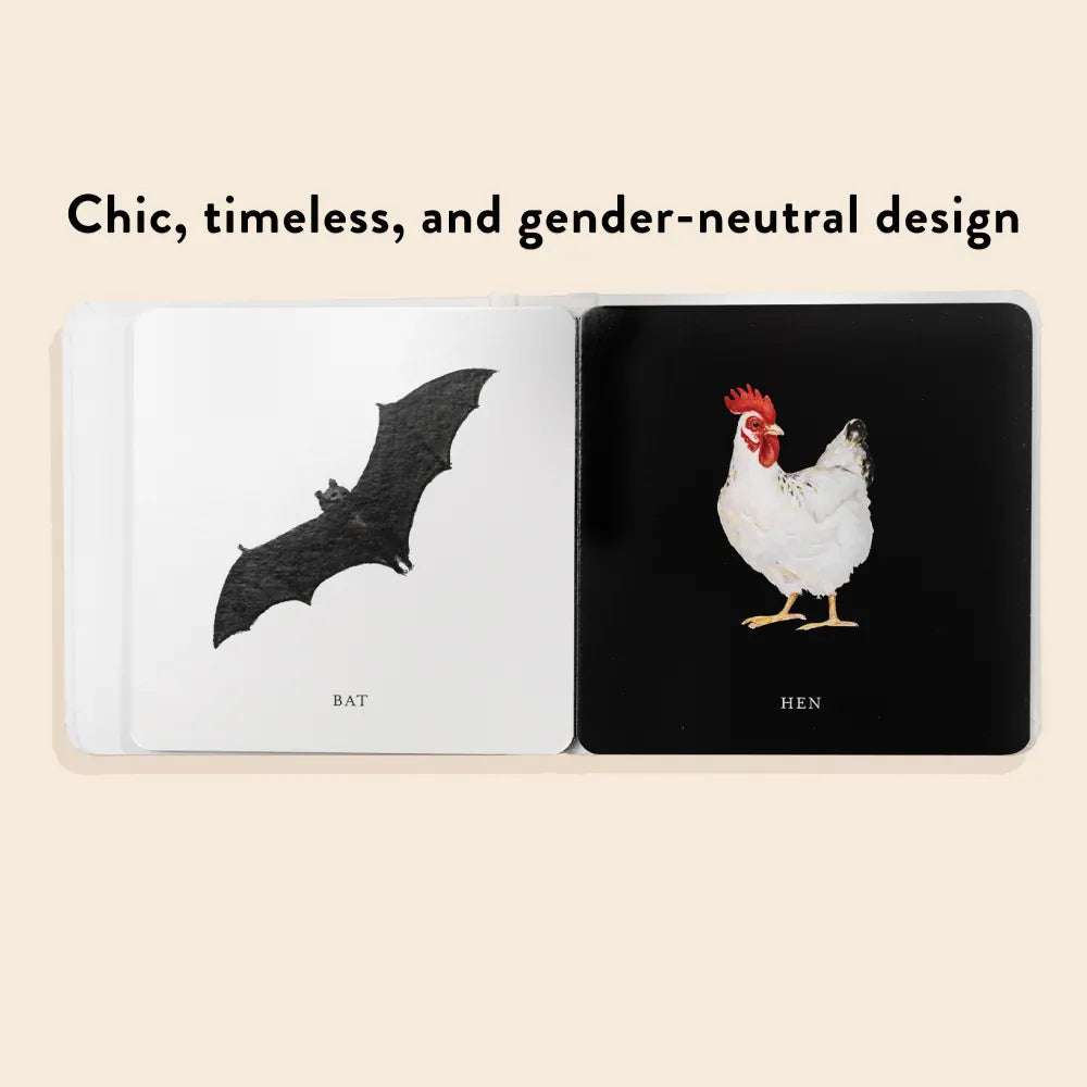 Baby's Black and White Contrast Book US - Board book