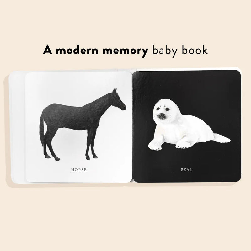 Baby's Black and White Contrast Book US - Board book