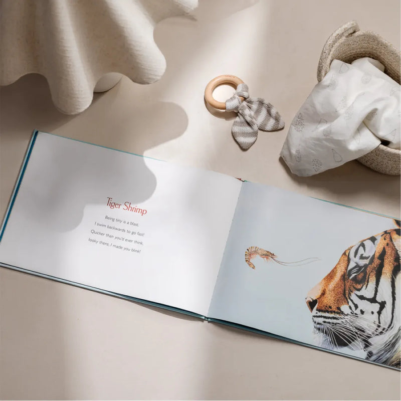 You Stole My Name US - Hardback