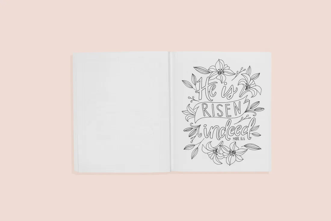 Beauty in the Bible US - Paperback / softback