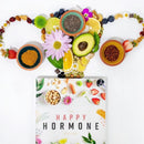 The Happy Hormone Guide US - Paperback / softback