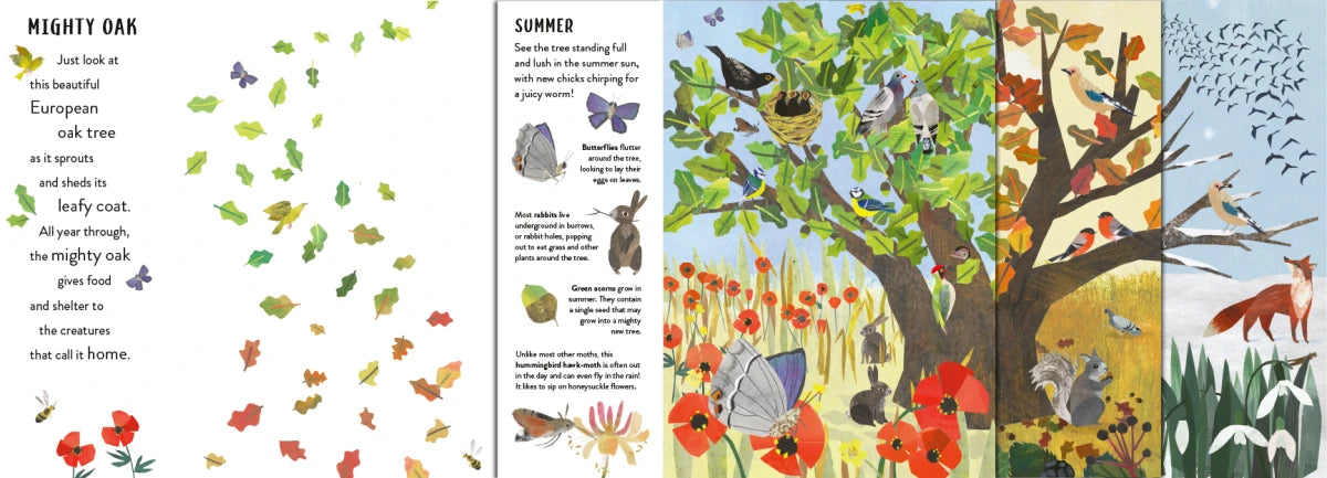 Seasons US - Hardback