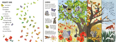 Seasons US - Hardback