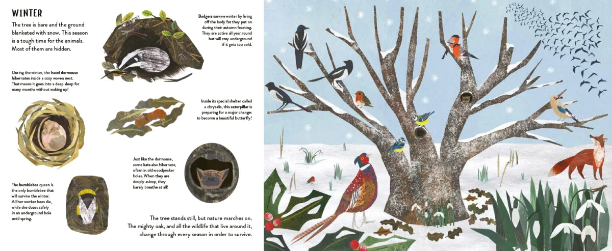 Seasons US - Hardback