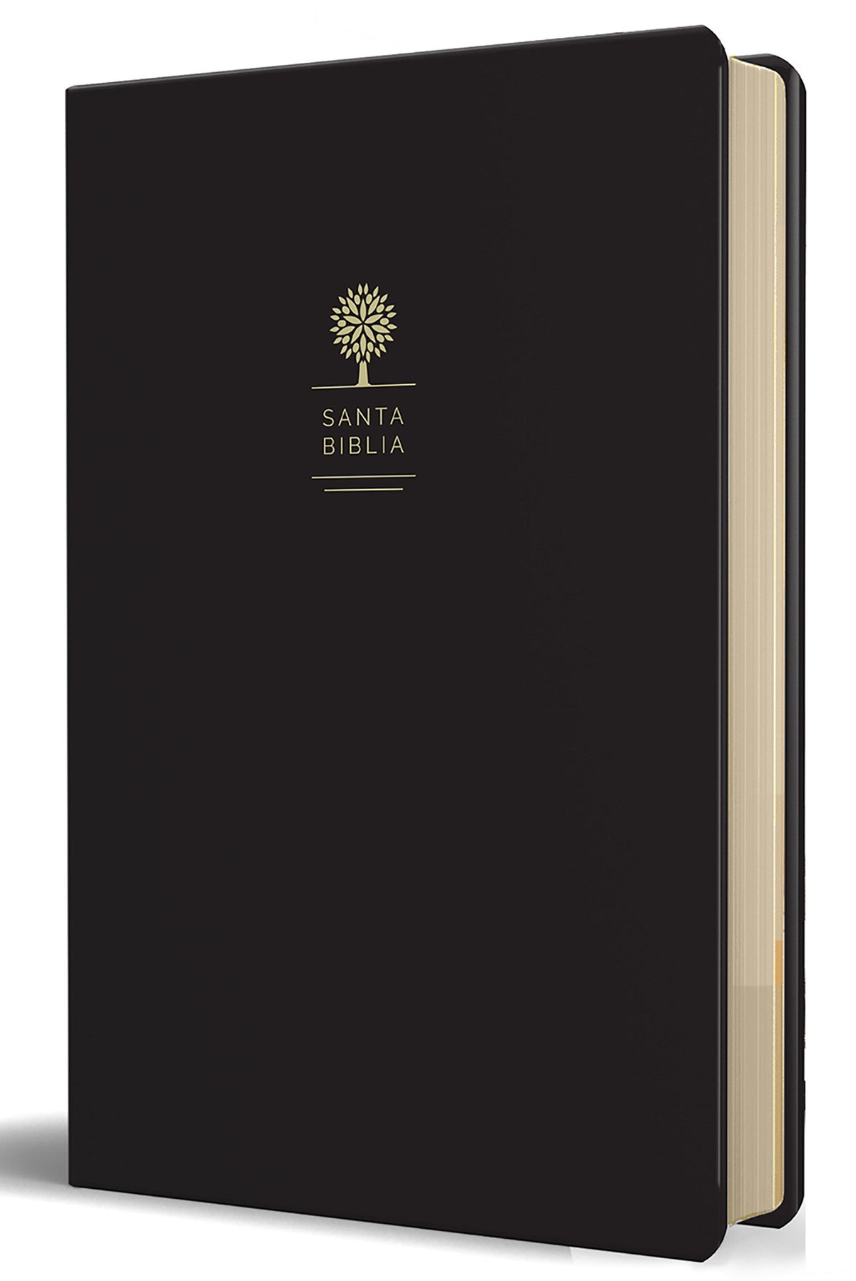 RVR60 Biblia tamaño grande, letra grande, piel negra / Reina Valera 1960 Bible Large size, large print, black leather cover (ISBN 9781949061581)
