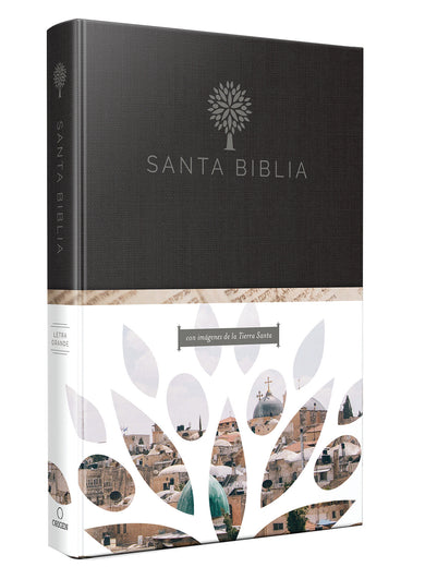 Biblia Reina Valera 1960 Tamaño grande, letra grande. Tapa dura / RVR 1960 Holy Bible in Spanish. Large Size, Large Print, Hard Cover. cover (ISBN 9781949061598)