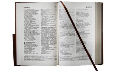 La Biblia Católica: Edición letra grande. Tapa dura, marrón, con Virgen de Guadalupe en cubierta / Catholic Bible. Hard Cover, brown, with Virgen interior 2 (ISBN 9781949061925)