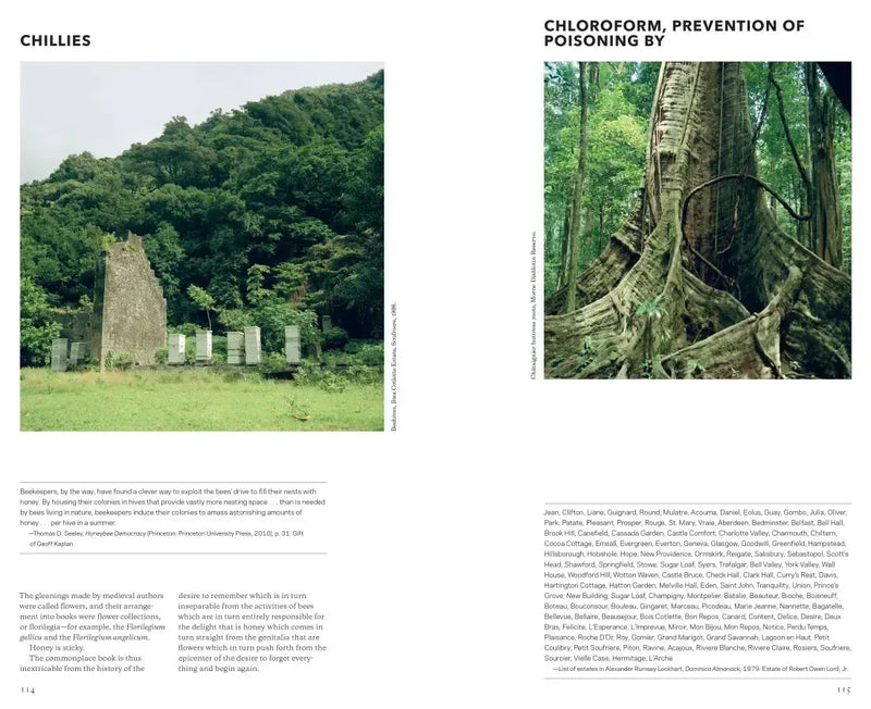 The Effect of Tropical Light on White Men US - Hardback