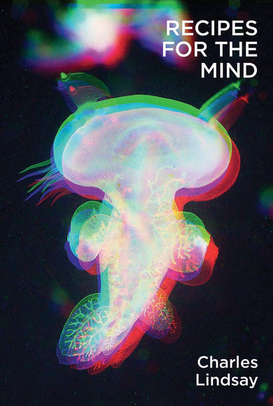 Recipes for the Mind-Art: general-買書書 BuyBookBook