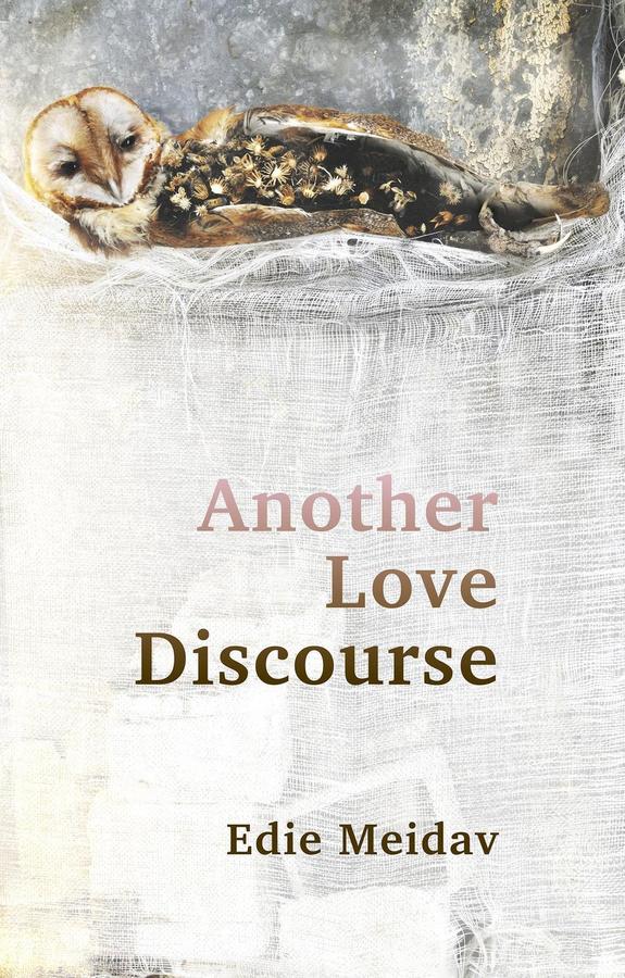 Another Love Discourse-Fiction: general and literary-買書書 BuyBookBook