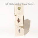 Our Little Adventures US - Multiple-component retail product, boxed