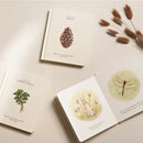 Our Little Adventures US - Multiple-component retail product, boxed