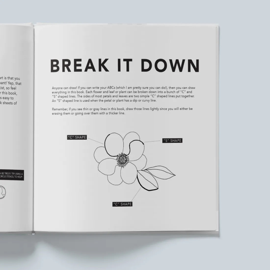 Modern Flowers: How to Draw Books for Kids with Flowers, Plants, and Botanicals US - Paperback / softback