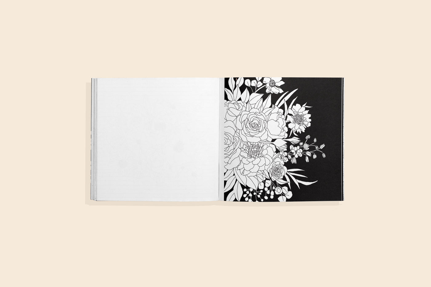 Bloom (Mini) US - Paperback / softback