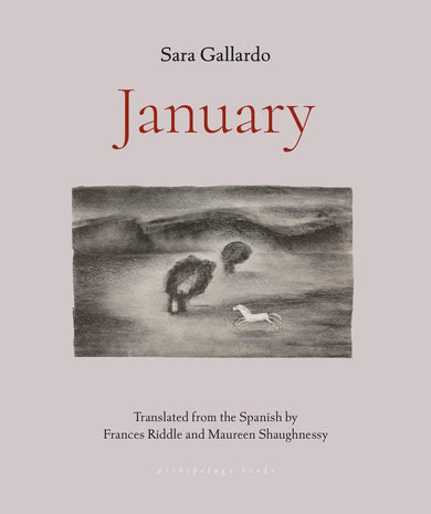 January-Fiction: general and literary-買書書 BuyBookBook