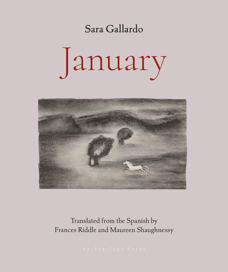 January-Fiction: general and literary-買書書 BuyBookBook