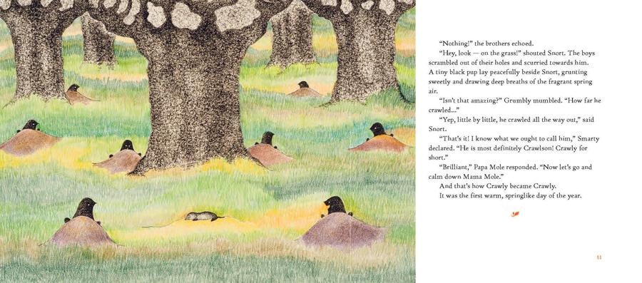 Who Will Make the Snow? US - Hardback