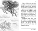 The Flight of the Unicorn US - Paperback / softback