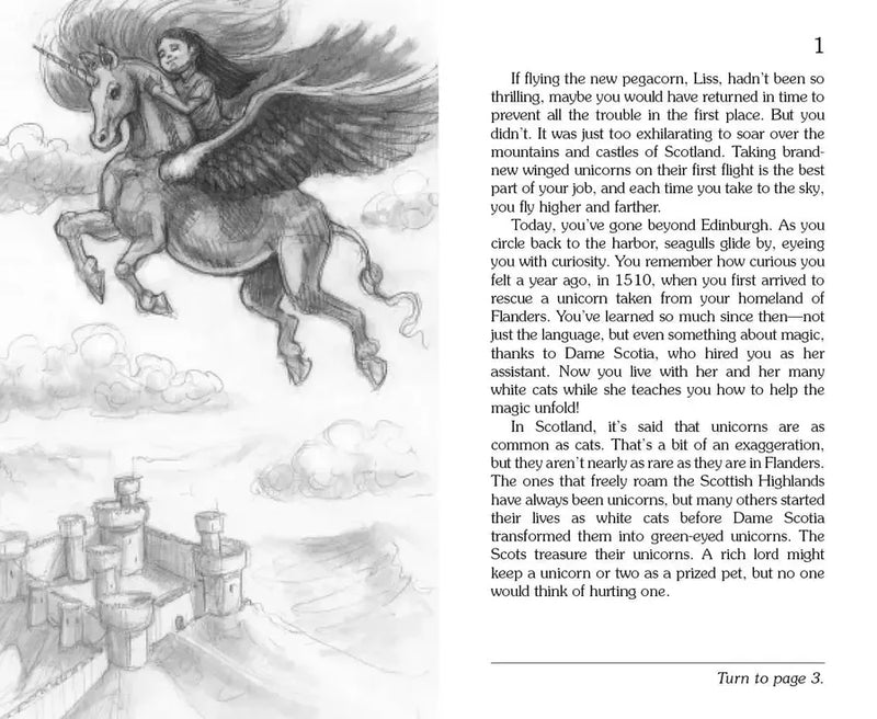 The Flight of the Unicorn US - Paperback / softback